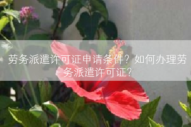 劳务派遣许可证申请条件？如何办理劳务派遣许可证？