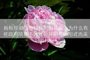 拆标规避公开招标如何认定？为什么有些政府项目不通过公开招标的形式而采取邀标呢？