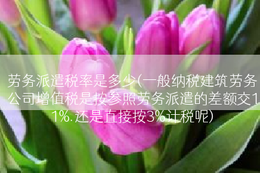 劳务派遣税率是多少(一般纳税建筑劳务公司增值税是按参照劳务派遣的差额交11%.还是直接按3%计税呢)