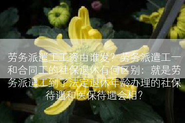 劳务派遣工工资由谁发？劳务派遣工一和合同工的社保退休有何区别：就是劳务派遣工到了法定退休年龄办理的社保待遇和医保待遇会相？