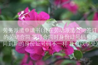 劳务派遣申请书(我在劳动派遣公司签订的劳动合同 签订合同时身份证号码和合同到期的身份证号码不一样 我可以享受)