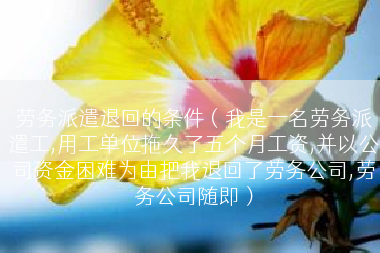 劳务派遣退回的条件（我是一名劳务派遣工,用工单位拖久了五个月工资,并以公司资金困难为由把我退回了劳务公司,劳务公司随即）