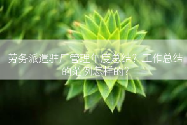 劳务派遣驻厂管理年度总结？工作总结的范例怎样的？