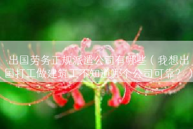 出国劳务正规派遣公司有哪些（我想出国打工做建筑工不知道哪个公司可靠？）