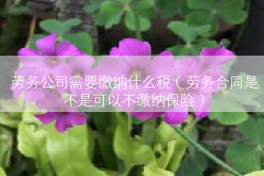 劳务公司需要缴纳什么税（劳务合同是不是可以不缴纳保险）
