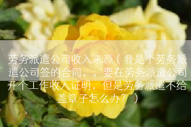 劳务派遣公司收入来源（我是个劳务派遣公司签的合同，，要在劳务派遣公司开个工作收入证明，但是劳务派遣不给盖章子怎么办？）