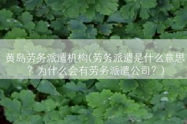 黄岛劳务派遣机构(劳务派遣是什么意思？为什么会有劳务派遣公司？)