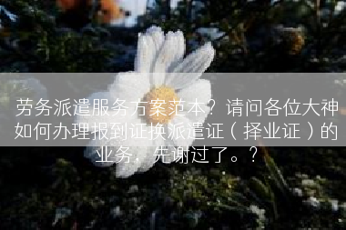 劳务派遣服务方案范本？请问各位大神如何办理报到证换派遣证（择业证）的业务，先谢过了。？