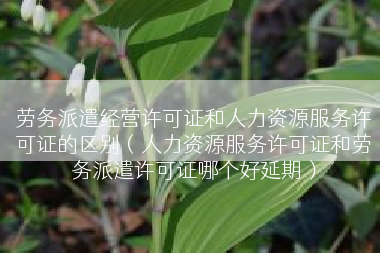 劳务派遣经营许可证和人力资源服务许可证的区别（人力资源服务许可证和劳务派遣许可证哪个好延期）
