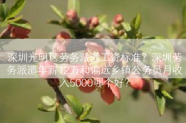 深圳光明区劳务派遣工资标准？深圳劳务派遣年薪12万和偏远乡镇公务员月收入5000哪个好？