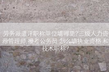 劳务派遣评职称单位填哪里?三级人力资源管理师 报考公务员 怎么填执业资格 和技术职称?