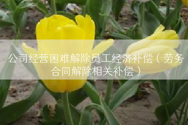 公司经营困难解除员工经济补偿（劳务合同解除相关补偿）