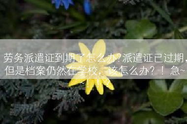劳务派遣证到期了怎么办?派遣证已过期，但是档案仍然在学校，该怎么办？！急~~！！?