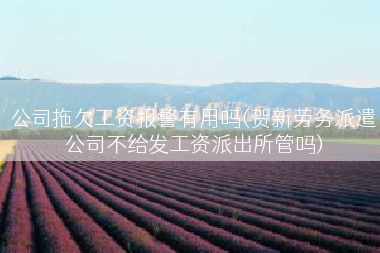 公司拖欠工资报警有用吗(贺新劳务派遣公司不给发工资派出所管吗)