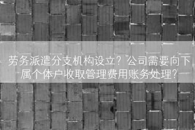 劳务派遣分支机构设立？公司需要向下属个体户收取管理费用账务处理？