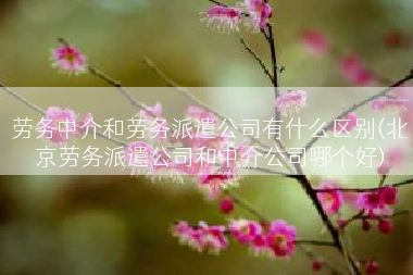 劳务中介和劳务派遣公司有什么区别(北京劳务派遣公司和中介公司哪个好)