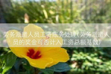 劳务派遣人员工资账务处理(劳务派遣人员的奖金可否计入工资总额基数)