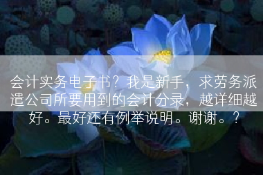 会计实务电子书？我是新手，求劳务派遣公司所要用到的会计分录，越详细越好。最好还有例举说明。谢谢。？
