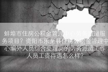 蚌埠市住房公积金管理中心劳务派遣服务项目？资阳市乐至县住房公积金管理中心编外人员综合受理岗的劳务派遣工作人员工资待遇怎么样？