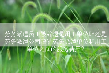 劳务派遣员工被辞退是用工单位赔还是劳务派遣公司赔？劳务派遣单位和用工单位之间的服务费用？