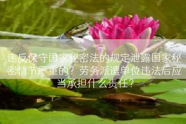违反保守国家秘密法的规定泄露国家秘密情节严重的？劳务派遣单位违法后应当承担什么责任？