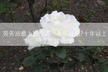 劳务派遣上班没满一年被辞退?十年以上员工能辞退吗?