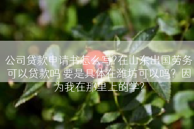 公司贷款申请书怎么写?在山东出国劳务可以贷款吗 要是具体在潍坊可以吗？因为我在那里上的学?