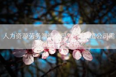 人力资源劳务派遣公司?劳务派遣公司需要缴纳哪些税种?