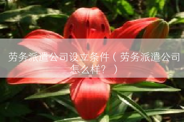劳务派遣公司设立条件（劳务派遣公司怎么样？）