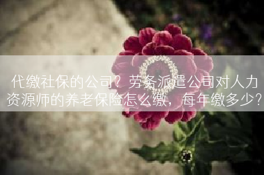 代缴社保的公司？劳务派遣公司对人力资源师的养老保险怎么缴，每年缴多少？