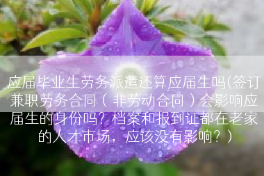 应届毕业生劳务派遣还算应届生吗(签订兼职劳务合同（非劳动合同）会影响应届生的身份吗？档案和报到证都在老家的人才市场，应该没有影响？)