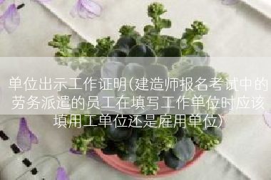单位出示工作证明(建造师报名考试中的劳务派遣的员工在填写工作单位时应该填用工单位还是雇用单位)