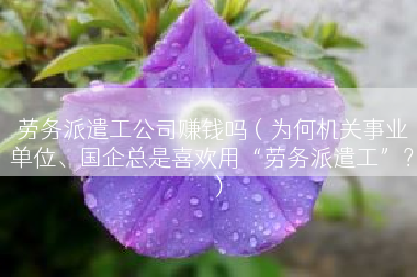 劳务派遣工公司赚钱吗（为何机关事业单位、国企总是喜欢用“劳务派遣工”？）