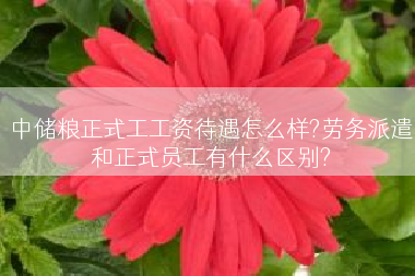 中储粮正式工工资待遇怎么样?劳务派遣和正式员工有什么区别?