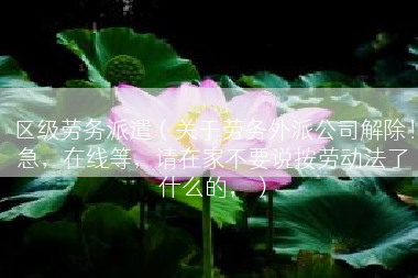 区级劳务派遣（关于劳务外派公司解除！急，在线等，请在家不要说按劳动法了什么的，）