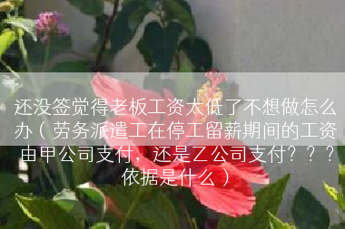 还没签觉得老板工资太低了不想做怎么办（劳务派遣工在停工留薪期间的工资由甲公司支付，还是乙公司支付？？？依据是什么）