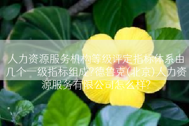人力资源服务机构等级评定指标体系由几个一级指标组成?德鲁克(北京)人力资源服务有限公司怎么样?