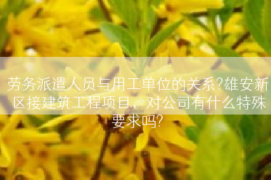 劳务派遣人员与用工单位的关系?雄安新区接建筑工程项目，对公司有什么特殊要求吗?