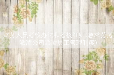 财务人员考核办法和考核细则(急求劳务派遣公司派遣员工管理制度)