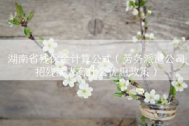 湖南省残保金计算公式（劳务派遣公司招残疾人有什么优惠政策）
