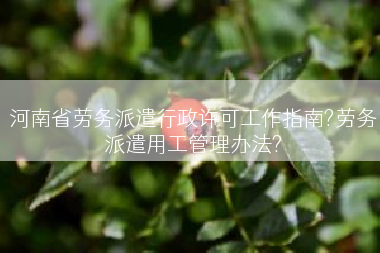 河南省劳务派遣行政许可工作指南?劳务派遣用工管理办法?