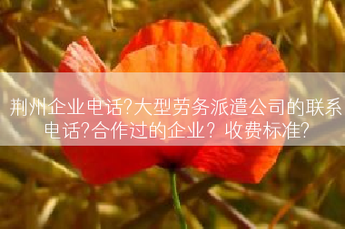 荆州企业电话?大型劳务派遣公司的联系电话?合作过的企业？收费标准?