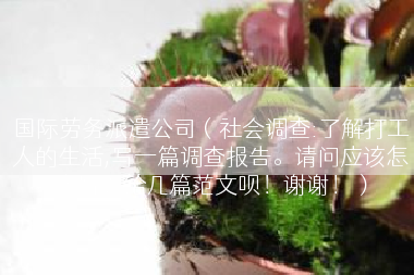 国际劳务派遣公司（社会调查:了解打工人的生活,写一篇调查报告。请问应该怎么写？给几篇范文呗！谢谢！）