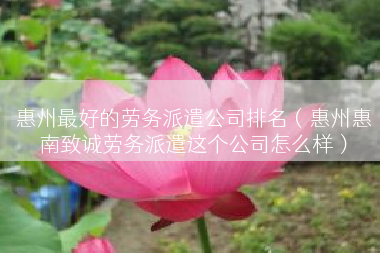 惠州最好的劳务派遣公司排名（惠州惠南致诚劳务派遣这个公司怎么样）
