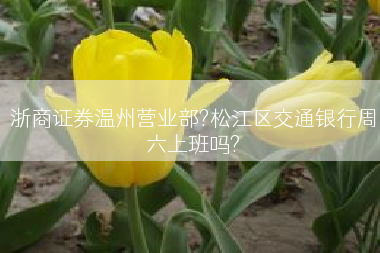 浙商证券温州营业部?松江区交通银行周六上班吗?