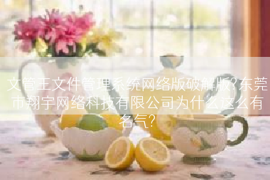 文管王文件管理系统网络版破解版?东莞市翔宇网络科技有限公司为什么这么有名气?