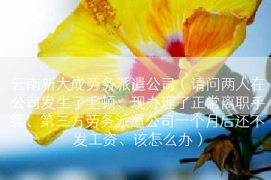 云南新大成劳务派遣公司（请问两人在公司发生了毛顿、现办理了正常离职手续、第三方劳务派遣公司一个月后还不发工资、该怎么办）