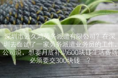 深圳市云久鸿劳务派遣有限公司？在深圳去面试了一家劳务派遣业务员的工作，公司说，想要月底补助600块钱生活费就必须要交300块钱	</div>
				<div class=