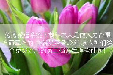 劳务派遣系统下载？本人是做人力资源方面工作的,也就是劳务派遣,求大神们给一个免费好用的员工档案管理软件啊！？