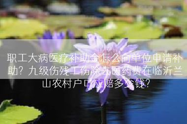 职工大病医疗补助金怎么向单位申请补助？九级伤残工伤除去医药费在临沂兰山农村户口应赔多少钱？
